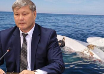 Скандал с дельтапланом: хозяин обвиняет пострадавших в вымогательстве денег после аварии на Алаколе