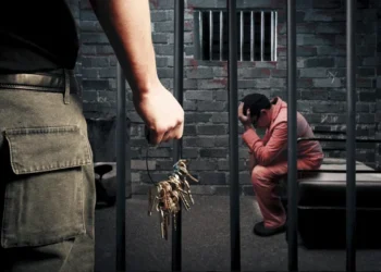 300 кустов конопли и один неудачник: полицейские раскусили тайного садовода Туркестанской области