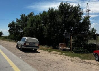 Алматы – Қонаев: жол жиегіндегі «жабайы сауда» жүргізушілерге қауіп төндіруде