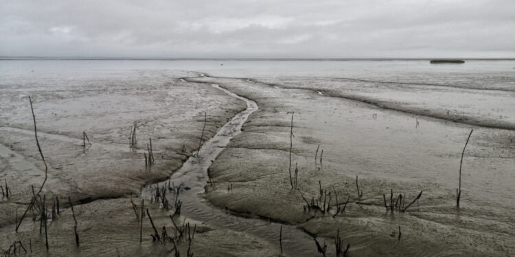 Сель сошел в Алматинской области