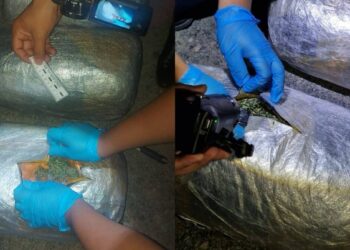 Превышение скорости обернулось задержанием: актюбинцев поймали с багажом каннабиса