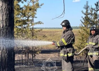«Семей орманында» тағы өрт шықты