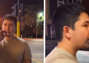 ІІМ Дәулет Тұрлыхановтың ұлының видеосынан кейін тексеріс бастады