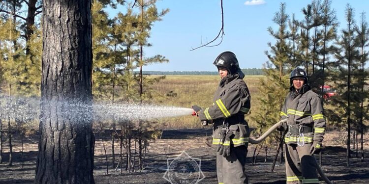 В «Семей орманы» снова произошел пожар