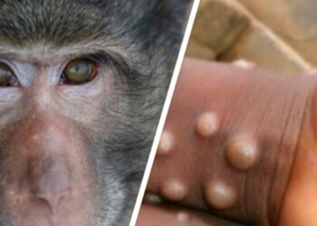 МИНИСТРЛІК МАЙМЫЛ ШЕШЕГІНЕН ҚОРҒАНУДЫҢ  ЖОЛДАРЫН ҰСЫНДЫ