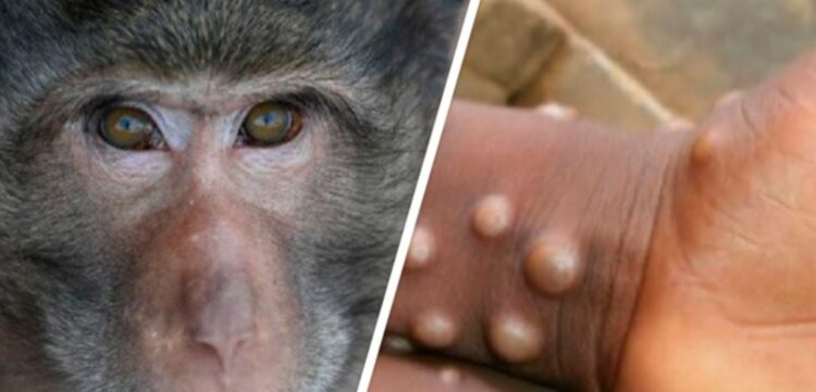 МИНИСТРЛІК МАЙМЫЛ ШЕШЕГІНЕН ҚОРҒАНУДЫҢ ЖОЛДАРЫН ҰСЫНДЫ