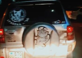 Мужчины заступились за избитую девушку на дороге