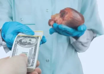 Ақтөбе тұрғыны ағзасын 9 млн теңгеге сатпақ болған