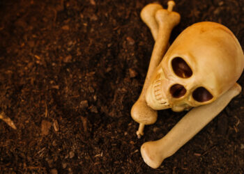 Как человеческие останки оказались на поверхности в Талгаре