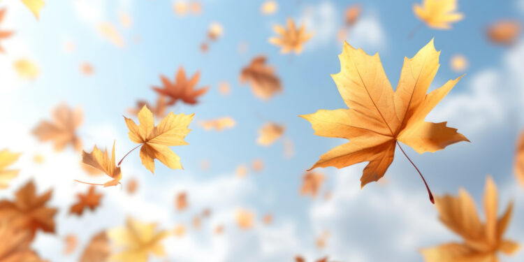 «Сильные дожди и туман»: погода в Казахстане в ближайшие дни