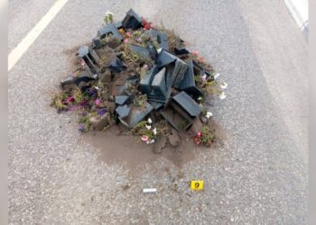 Пьяный костанаец разгромил 50 вазонов