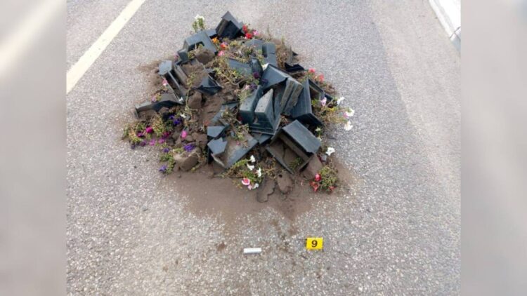 Пьяный костанаец разгромил 50 вазонов