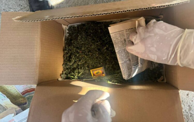 В Алматинской области ликвидировали фитолабораторию