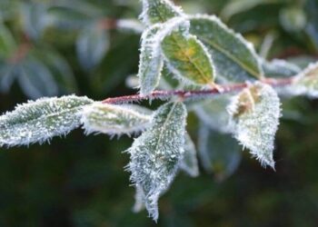 Ауа райы: -6 градусқа дейін суытады