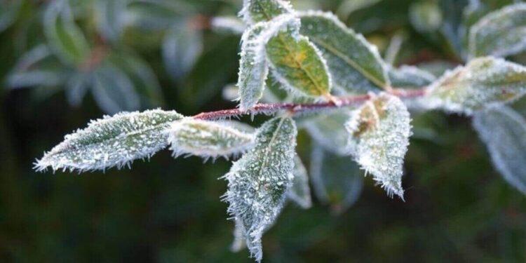 Ауа райы: -6 градусқа дейін суытады