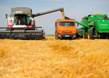 Қазақстанның диқандары 20 миллион тонна астық бастырды