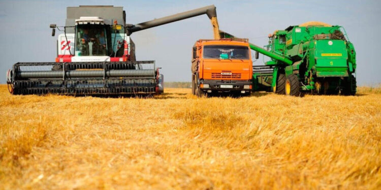 Қазақстанның диқандары 20 миллион тонна астық бастырды