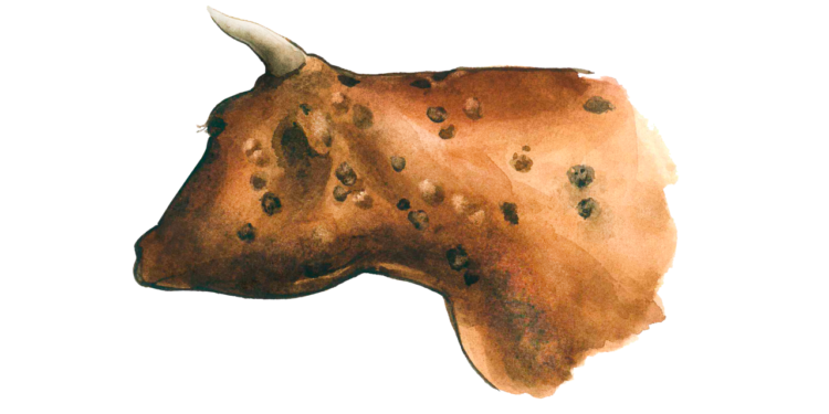 Ұйғыр ауданындағы Сібір жарасына қарсы күрес шаралары жалғасуда