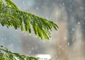 Қазақстанда ауа температурасы 7 градусқа дейін төмендейді