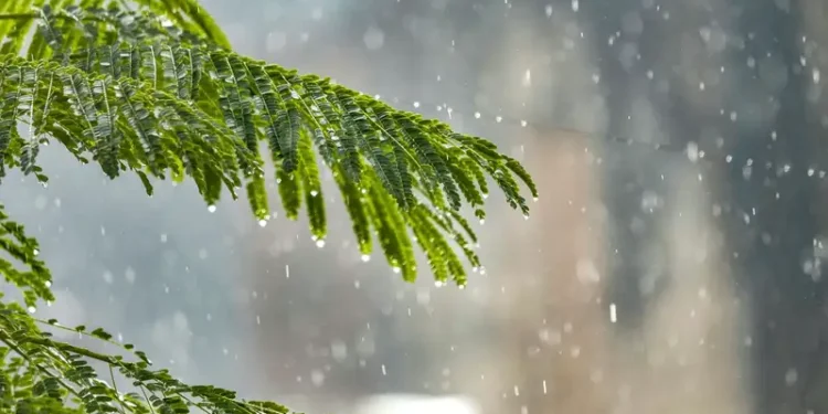 Қазақстанда ауа температурасы 7 градусқа дейін төмендейді