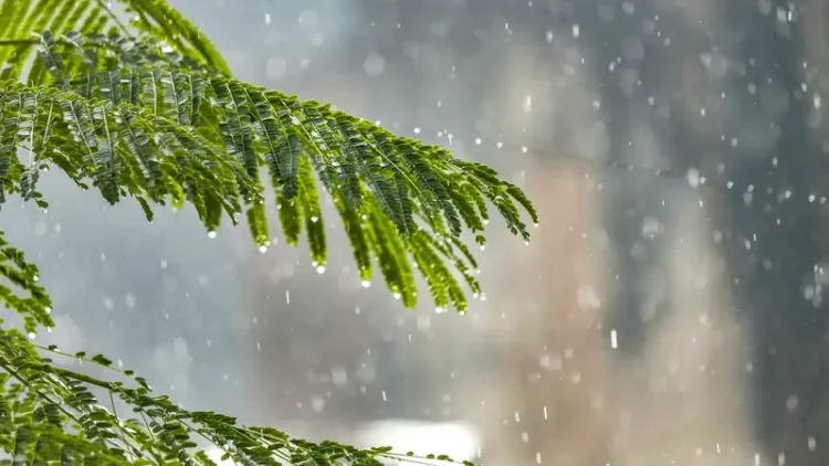 Қазақстанда ауа температурасы 7 градусқа дейін төмендейді