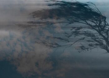 Шанхайда дауыл: 400 мыңнан астам адам қауіпсіз жерге көшірілді