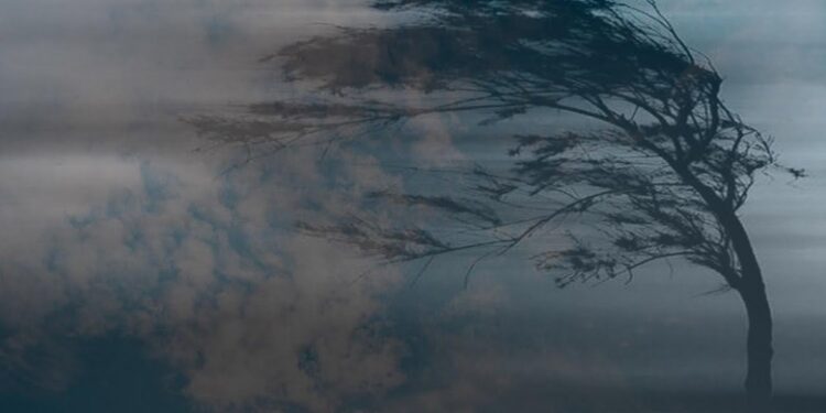 Шанхайда дауыл: 400 мыңнан астам адам қауіпсіз жерге көшірілді