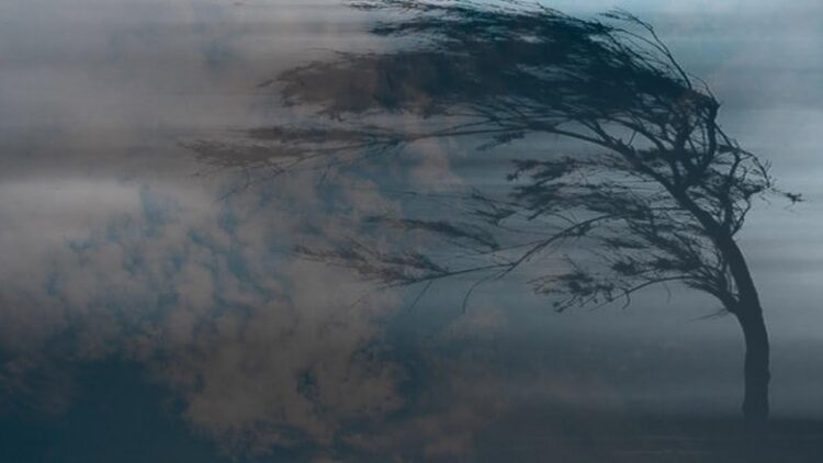 Шанхайда дауыл: 400 мыңнан астам адам қауіпсіз жерге көшірілді