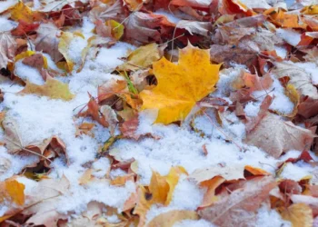 Сложные погодные условия в Казахстане: где ждать дожди с грозами и снег 25 сентября