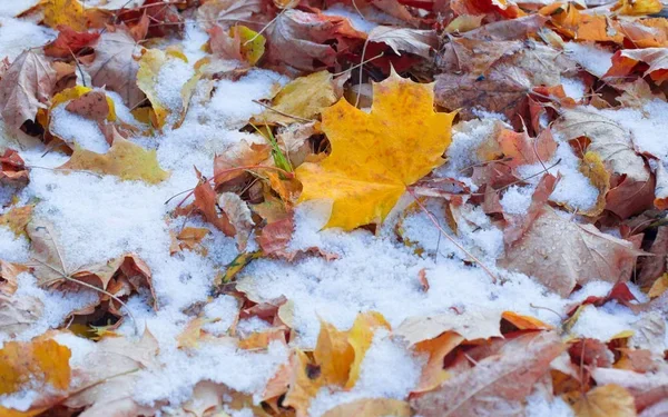 Сложные погодные условия в Казахстане: где ждать дожди с грозами и снег 25 сентября