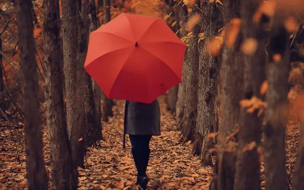 Заморозки и дожди: погода в Астане и Алматы на 3 дня