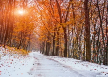 Морозы и дожди: погода в Астане и Алматы на ближайшие три дня