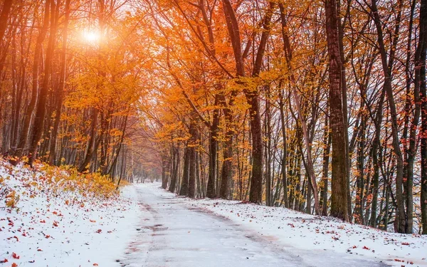 Морозы и дожди: погода в Астане и Алматы на ближайшие три дня