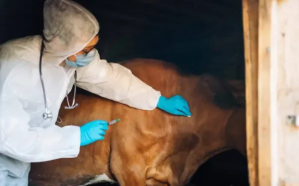 16 человек госпитализировали с подозрением на сибирскую язву в Алматинской области