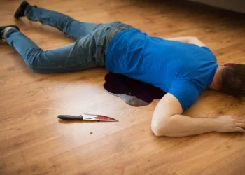 Көкшетауда мас еркек туысқанын пышақтап тастады