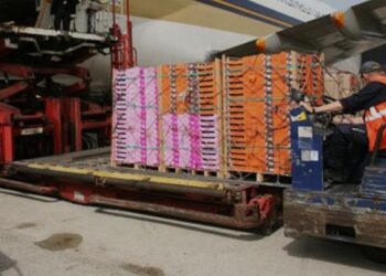 Қорғаста жүк-жолаушылар әуежайы салынады