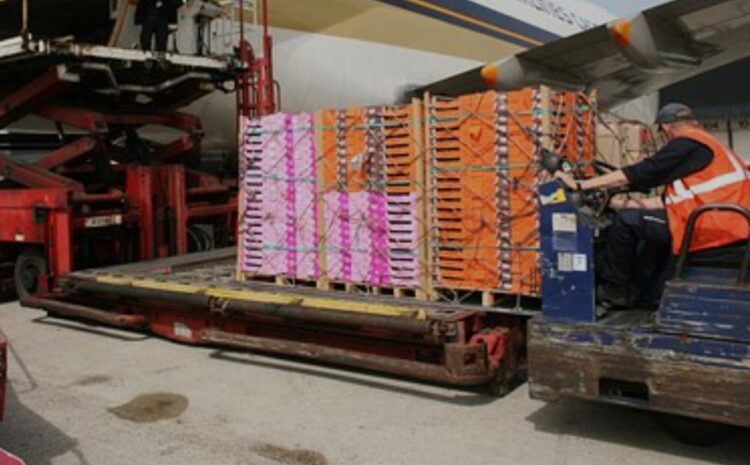 Қорғаста жүк-жолаушылар әуежайы салынады