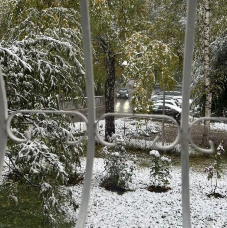В Алматы выпал снег
