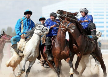 Ұлттық спорт орталығының бас есепшісі 117 миллион теңге ұрлаған