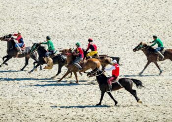 Гавайлық турист: Қазақтың рухы ат үстінде