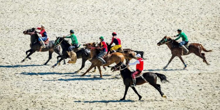 Гавайлық турист: Қазақтың рухы ат үстінде