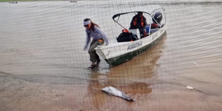 Амазон өзенінен дельфиндердің өлексесі табылды