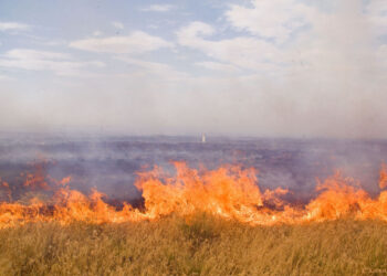Қарқаралыда 21 мың гектар аумақ өртеніп жатыр