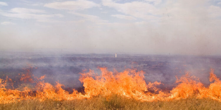 Қарқаралыда 21 мың гектар аумақ өртеніп жатыр