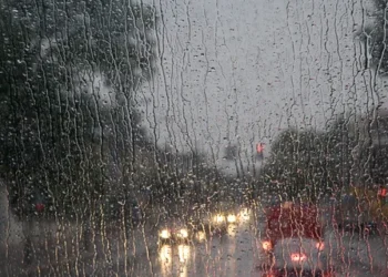 Бразилияда толассыз нөсерден 7 адам қаза тапты