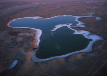 Арал теңізіне 200 млн текше метр су құйылды