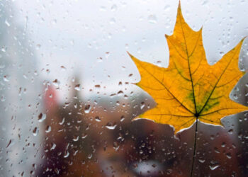 Елімізде ауа райына байланысты ескерту жасалды