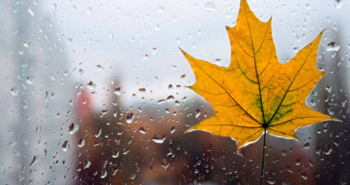 Елімізде ауа райына байланысты ескерту жасалды