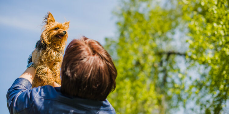 Министерство экологии поздравило казахстанцев с Днем защиты животных