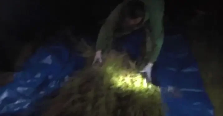 Жамбыл облысында 2886 есірткі сайты бұғатталып, 21 қылмыстық іс тіркелді